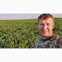 Продаємо Сою ГМО