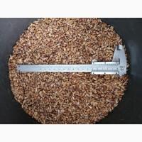 Повітряні кульки (воздушка) насіння часнику сорт Любаша від виробника