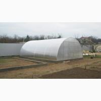 Теплиця «Алмір» шириною 5 м з оцинкованої квадратної труби з полікарбонатом