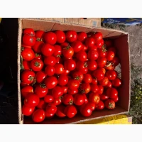 Продам перец ( тип Белазерка)