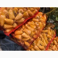 Продам перец ( тип Белазерка)