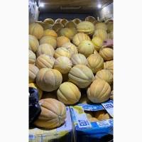 Продам Дыню Эфиопка