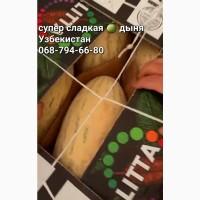 Продам очень сладкую дыню