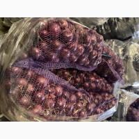 Продам цибулю синю Марс