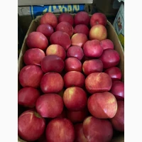 Продам яблука фрешовані
