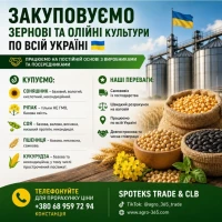 Купуємо зернові, олійні, бобові. База, некондиція