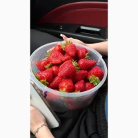 Продам полуницю