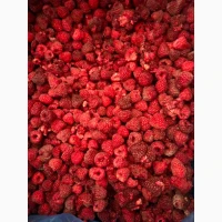 Продам малину цілу, 80/20, оригінал, лом, гриз, Грис, від 5 тонн