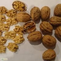 Куплю бойний горіх кругляк