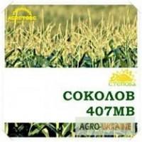 Продам семена кукурузы Соколов 407 МВ, ФАО-400