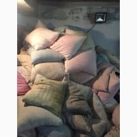 Швейний цех закуповує старі перини та подушки