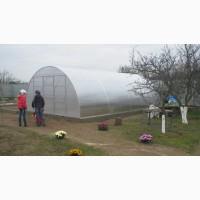 Теплиця «Алмір» шириною 6 м з оцинкованої квадратної труби з полікарбонатом