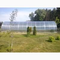 Теплиця «Алмір» шириною 6 м з оцинкованої квадратної труби з полікарбонатом