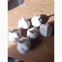 Продам товарний часник 3