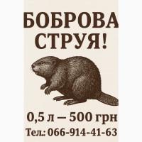 Струя боброва