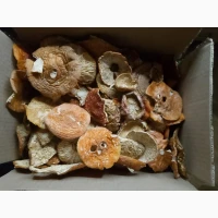 Продам мухомор червоний сушений, збір вересень - жовтень 2025