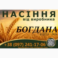 Насіння / озима пшениця / Астарта, Богдана, Подолянка, Мальованка (еліта)