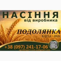 Насіння / озима пшениця / Астарта, Богдана, Подолянка, Мальованка (еліта)