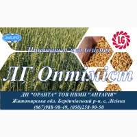 Насіння озимої пшениці ЛГ Оптіміст (СН, перша)