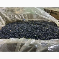 Продам шоково заморожену лісову чорницю