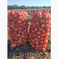 Продам лук