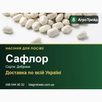 Продам насіння сафлору - Добриня