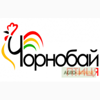 ПрАТ Чорнобай-Птиця