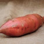 БАТАТ рассада органическая 7 сортов