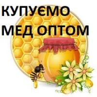 Купую мед! /акация, рапс, цветочный/