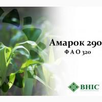 Насіння кукурудзи Амарок 290 (ФАО 320)