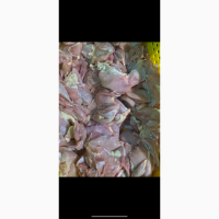 Продажа замороженной куриной продукции