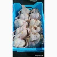 Продажа замороженной куриной продукции