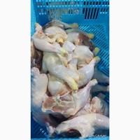 Продажа замороженной куриной продукции