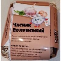 Часник Товарний