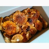 Мухомор сушеный - целебный и вкусный