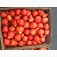 Продам Помідори