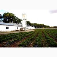 Оренда сухого теплого складу для зберігання сипучої продукції