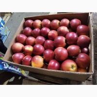 Продам Яблуко