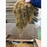 Тютюн порізка лапшою Берлі, Вірджінія, Дюбек. махорки нема нєма