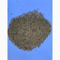 Гірчиця мікс (сидерат)