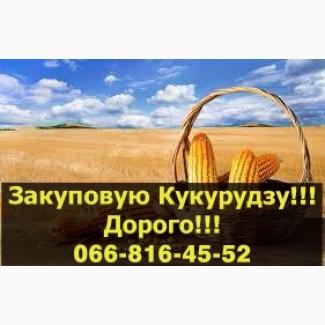 Підприємство купує Кукурудзу
