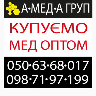 Оптова закупівля меду соняшникового у населення АМЕДА ГРУП