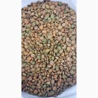 Продам корм для кошек и собак