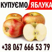 Купуємо постійно на сік яблоко ВАША ФУРА ! Дзвонити телефон на ФОТО !!! ВАШ ТРАНСПОРТ