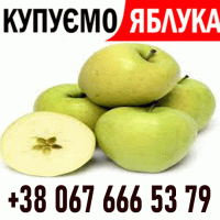 Купуємо постійно на сік яблоко ВАША ФУРА ! Дзвонити телефон на ФОТО !!! ВАШ ТРАНСПОРТ
