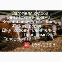 Купівля худоби дорого