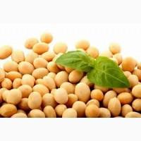 Фермер продає гуртом фуражну сою не ГМО від 22/т