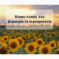 Написання бізнес-планів для грантів та під інвестиційні цілі