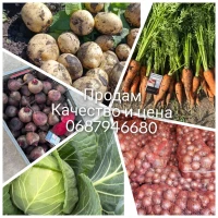 Продам молодую морковь