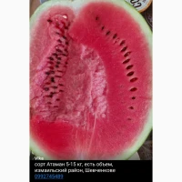 Продам кавун арбуз